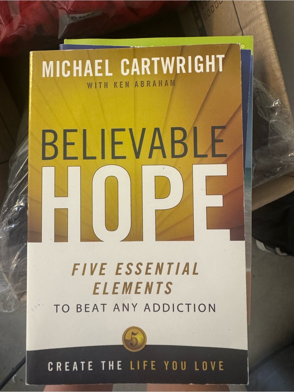 Believable Hope: 5 Essential Elements to Beat Any Addiction Book ⭐️BOGO🆓